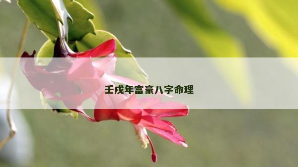 壬戌年富豪八字命理