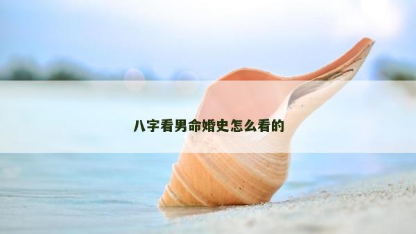 八字看男命婚史怎么看的