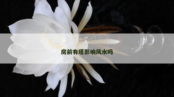 房前有塔影响风水吗