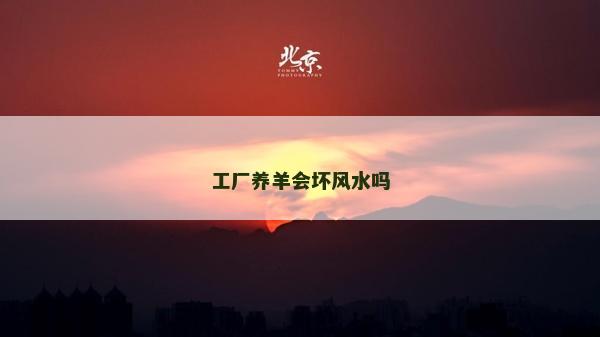 工厂养羊会坏风水吗