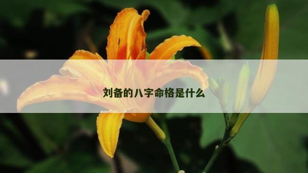 刘备的八字命格是什么