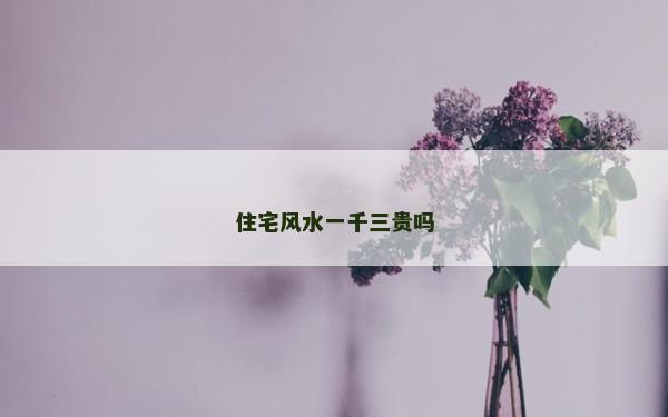 住宅风水一千三贵吗