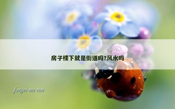 房子楼下就是街道吗?风水吗