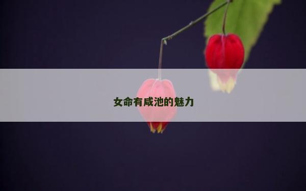 女命有咸池的魅力