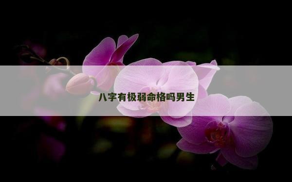 八字有极弱命格吗男生