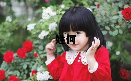 姓何叫什么名字好 姓何的女孩有灵气的名字