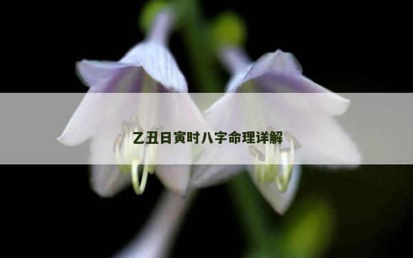 乙丑日寅时八字命理详解