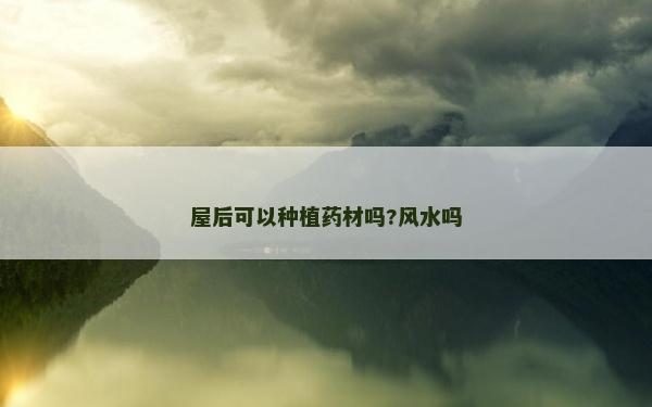 屋后可以种植药材吗?风水吗