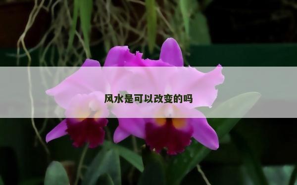 风水是可以改变的吗