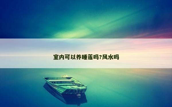 室内可以养睡莲吗?风水吗
