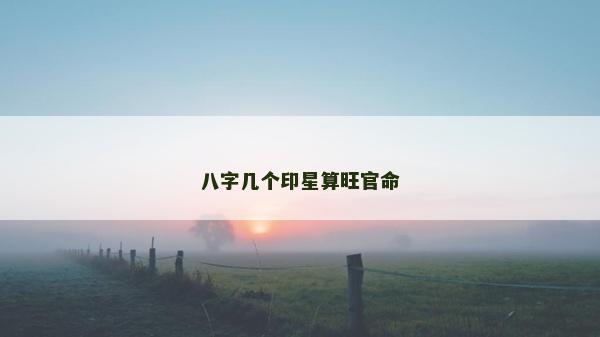 八字几个印星算旺官命