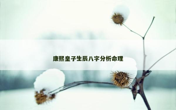康熙皇子生辰八字分析命理