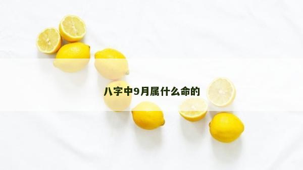 八字中9月属什么命的