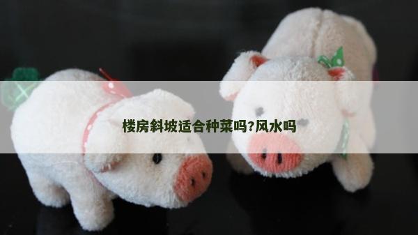 楼房斜坡适合种菜吗?风水吗