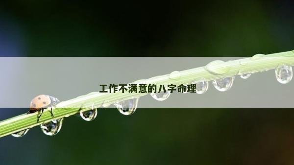 工作不满意的八字命理