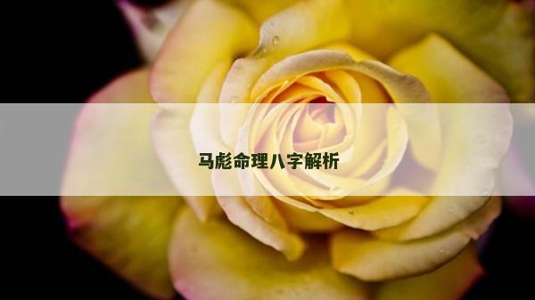 马彪命理八字解析