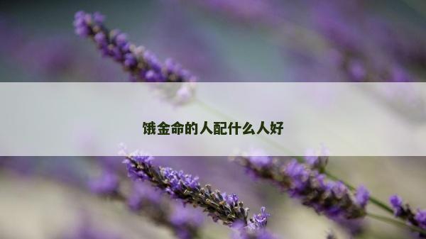饿金命的人配什么人好