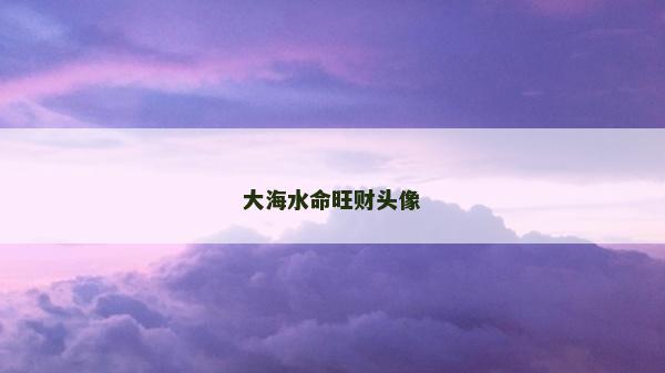 大海水命旺财头像