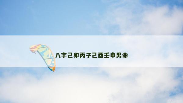 八字己卯丙子己酉壬申男命