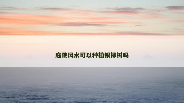 庭院风水可以种植银柳树吗