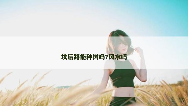 坟后路能种树吗?风水吗