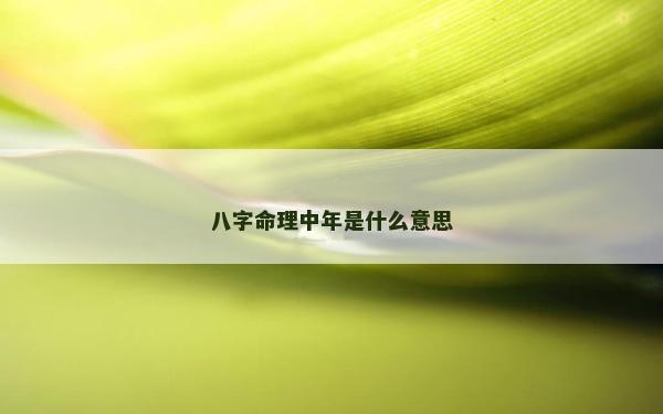 八字命理中年是什么意思