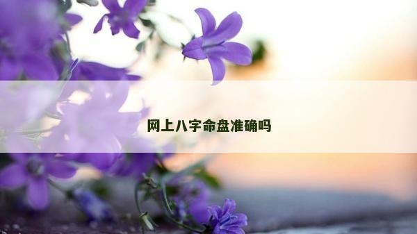 网上八字命盘准确吗