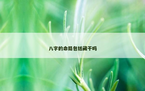 八字的命局包括藏干吗