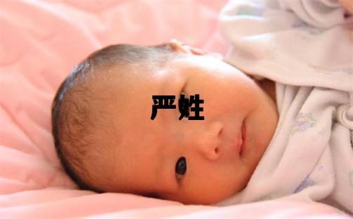 严姓朗朗上口的男孩名字