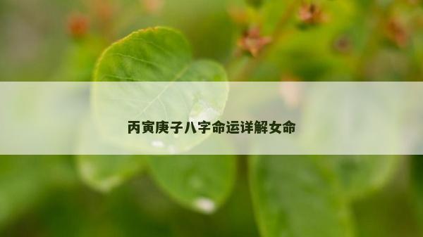 丙寅庚子八字命运详解女命