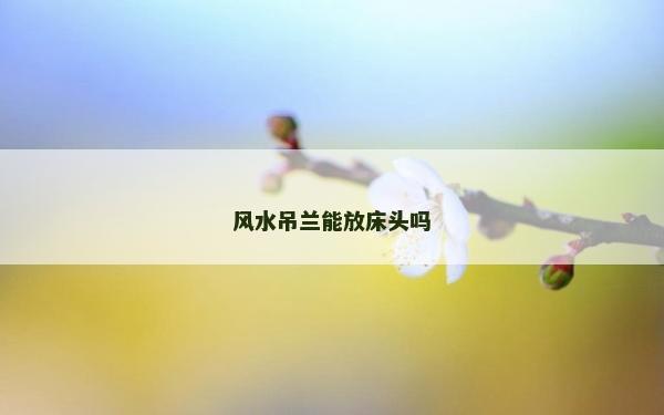 风水吊兰能放床头吗