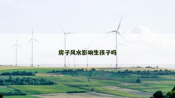 房子风水影响生孩子吗
