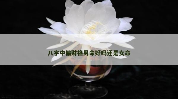 八字中偏财格男命好吗还是女命
