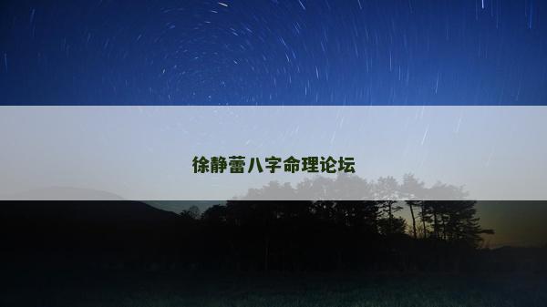 徐静蕾八字命理论坛