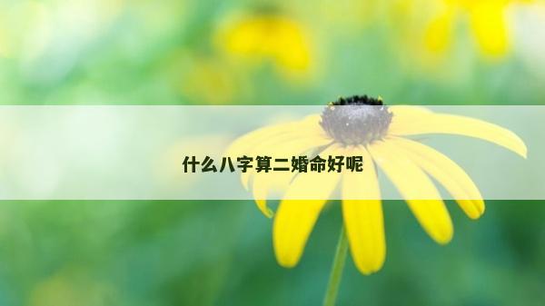 什么八字算二婚命好呢