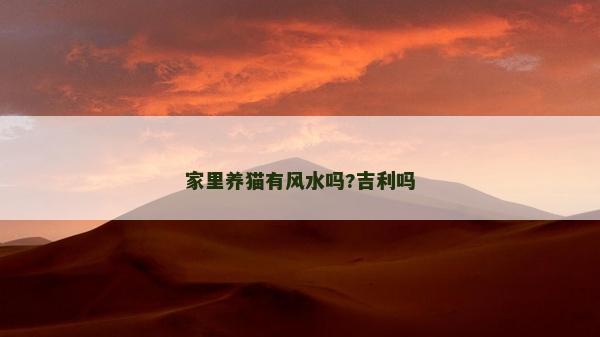 家里养猫有风水吗?吉利吗
