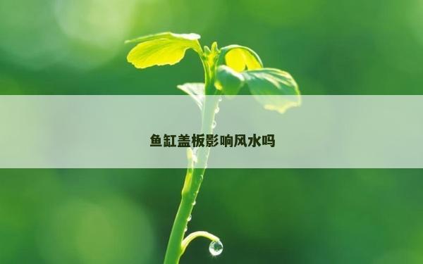 鱼缸盖板影响风水吗