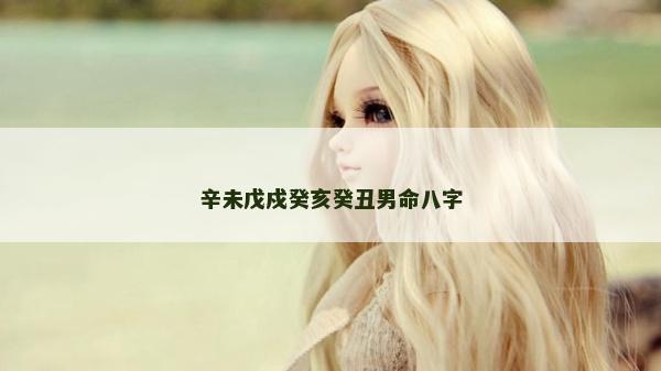 辛未戊戍癸亥癸丑男命八字