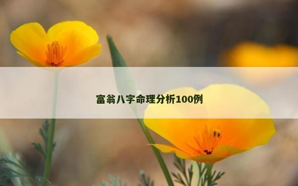 富翁八字命理分析100例
