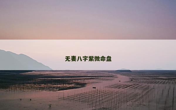 无妻八字紫微命盘
