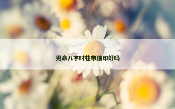 男命八字时柱带偏印好吗