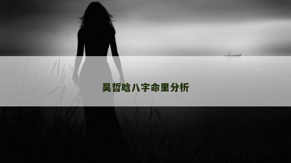 吴哲晗八字命里分析
