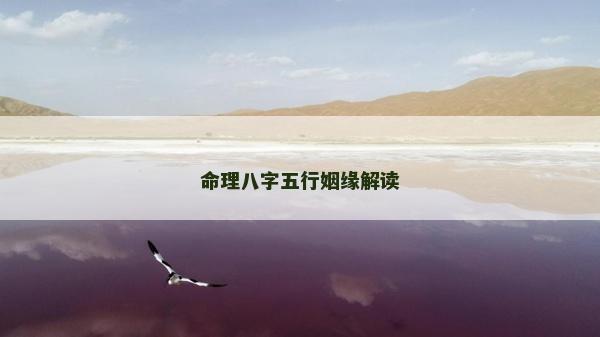 命理八字五行姻缘解读