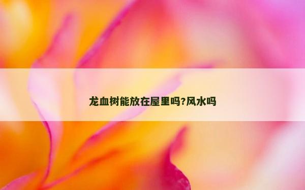 龙血树能放在屋里吗?风水吗