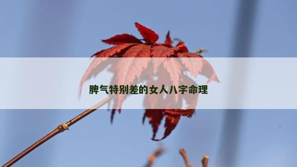 脾气特别差的女人八字命理