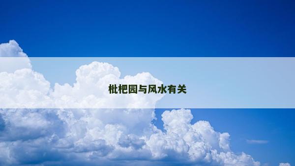 枇杷园与风水有关