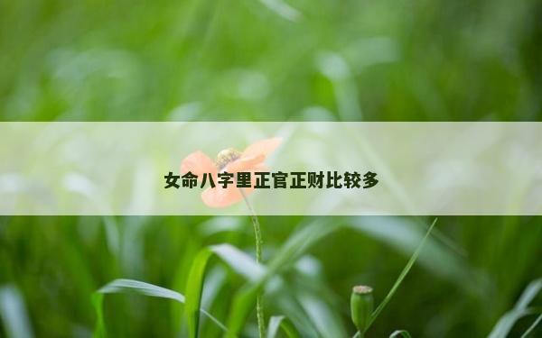 女命八字里正官正财比较多