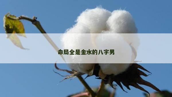 命局全是金水的八字男