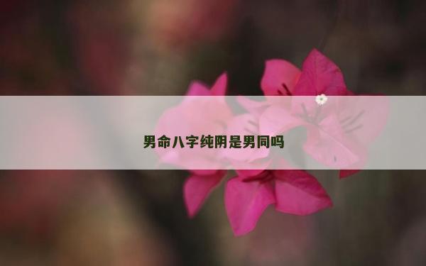男命八字纯阴是男同吗