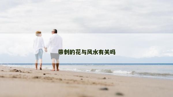 带刺的花与风水有关吗